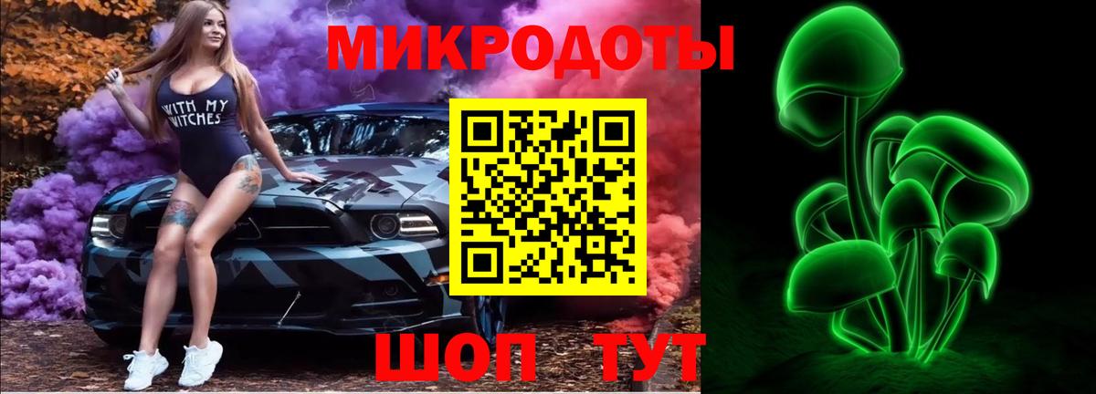 Серов  Галлюциногенные грибы прущие грибы  Вход с VPN 